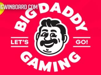 Big Daddy Gaming slot