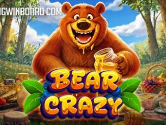 Bear Crazy slot
