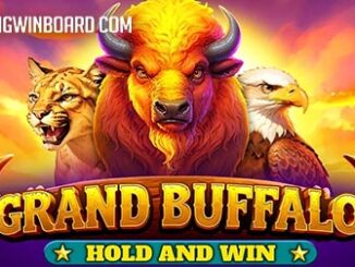 Grand Buffalo Hold & Win slot