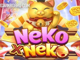 Neko X Neko slot
