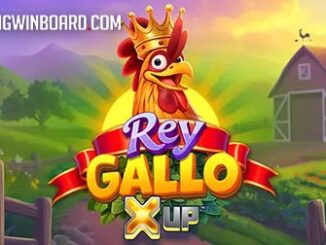 Rey Gallo X UP slot
