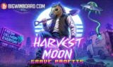 Harvest Moon Grave Profits