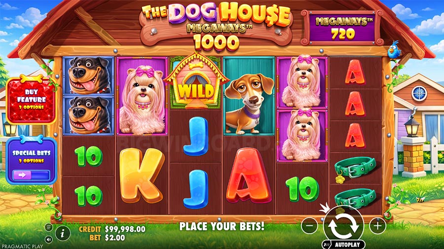 The Dog House Megaways 1000 slot