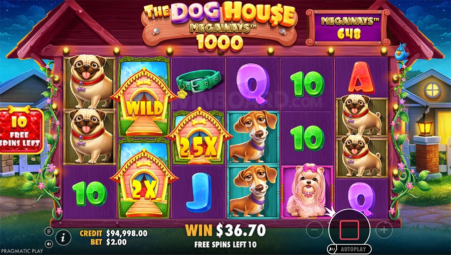 The Dog House Megaways 1000 slot