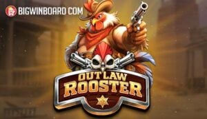 Outlaw Rooster