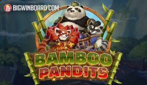 Bamboo Pandits