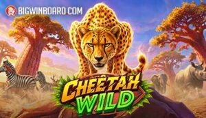 Cheetah Wild