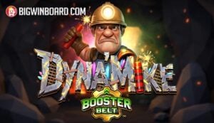 Dyna’Mike BoosterBelt
