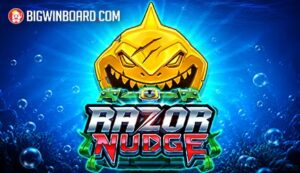 Razor Nudge