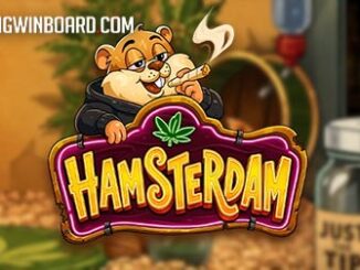 hamsterdam slot