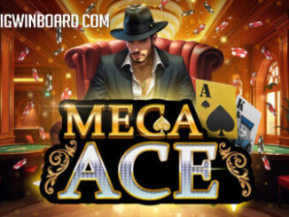 MEGA ACE slot