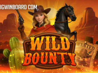 WILD BOUNTY slot