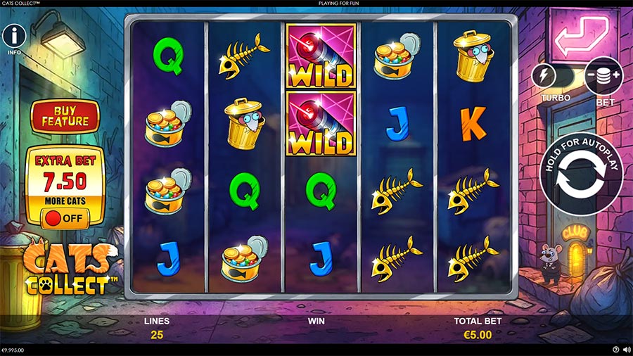 Cats-Collect-Slot