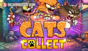 Cats Collect