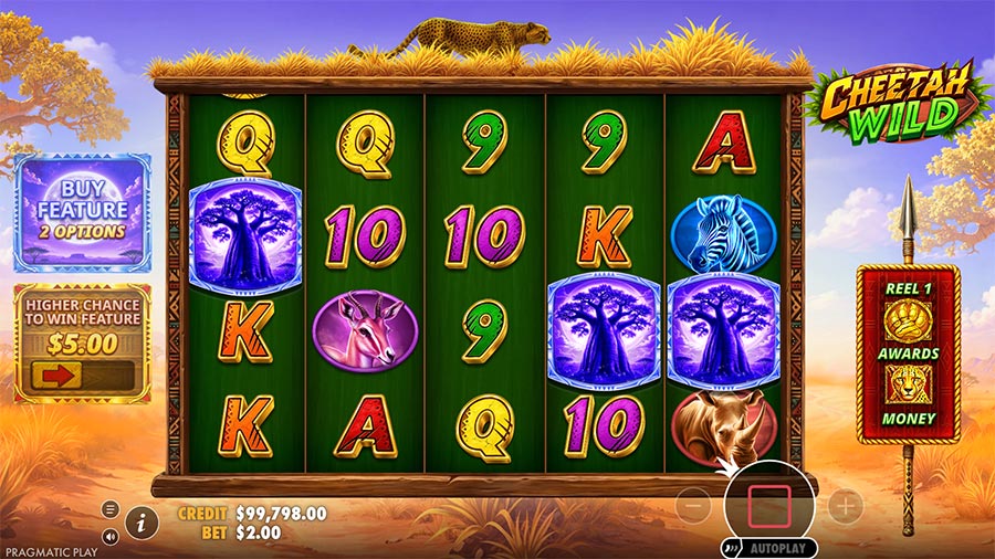Cheetah Wild Slot