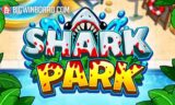 Shark Park
