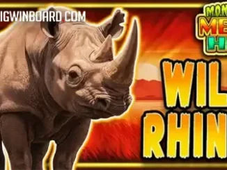 Wild Rhino slot
