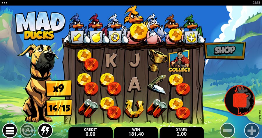Mad Ducks slot